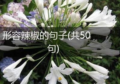 形容辣椒的句子(共50句)