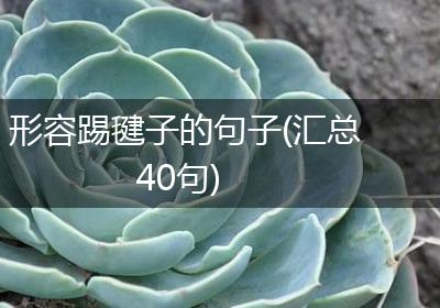 形容踢毽子的句子(汇总40句)