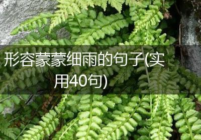 形容蒙蒙细雨的句子(实用40句)