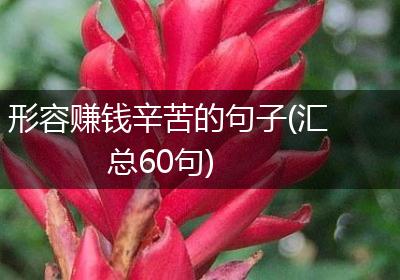 形容赚钱辛苦的句子(汇总60句)
