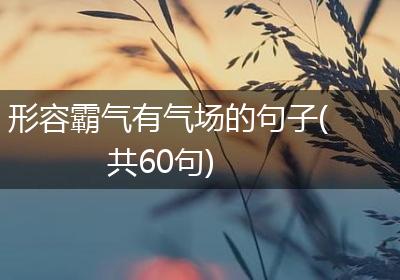 形容霸气有气场的句子(共60句)
