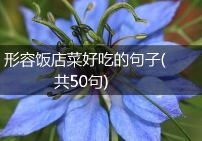 形容饭店菜好吃的句子(共50句)