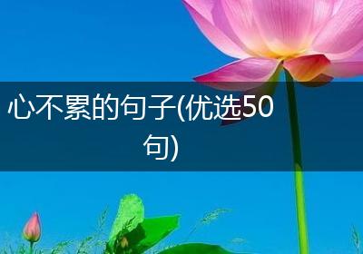 心不累的句子(优选50句)