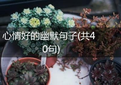 心情好的幽默句子(共40句)