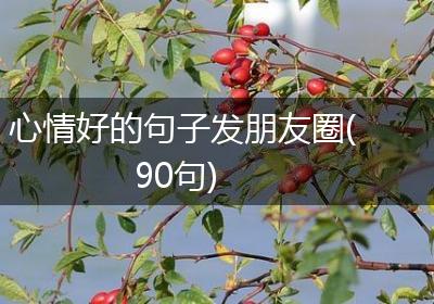 心情好的句子发朋友圈(90句)