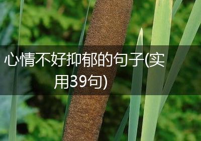 心情不好抑郁的句子(实用39句)