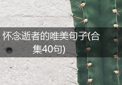 怀念逝者的唯美句子(合集40句)