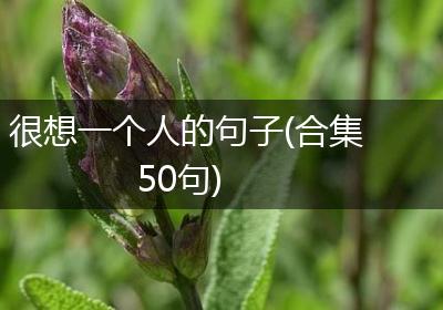 很想一个人的句子(合集50句)