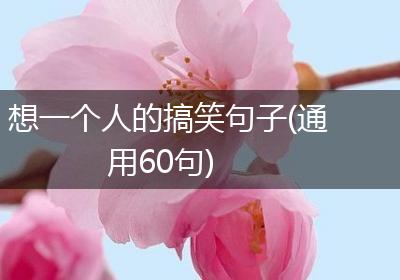 想一个人的搞笑句子(通用60句)