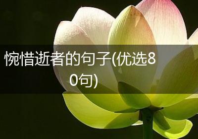 惋惜逝者的句子(优选80句)