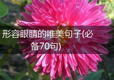 形容眼睛的唯美句子(必备70句)