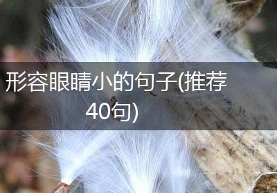 形容眼睛小的句子(推荐40句)