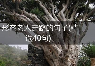 形容老人走路的句子(精选40句)