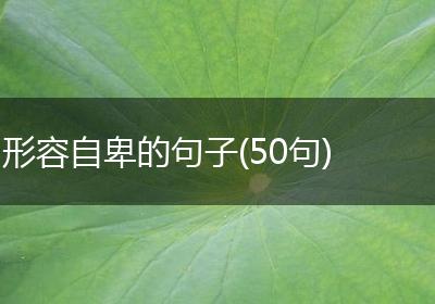 形容自卑的句子(50句)