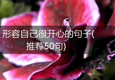 形容自己很开心的句子(推荐50句)