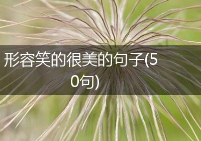 形容笑的很美的句子(50句)