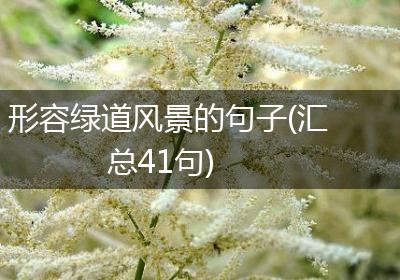 形容绿道风景的句子(汇总41句)
