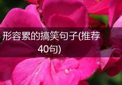 形容累的搞笑句子(推荐40句)