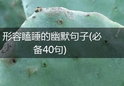 形容瞌睡的幽默句子(必备40句)