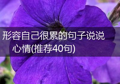 形容自己很累的句子说说心情(推荐40句)