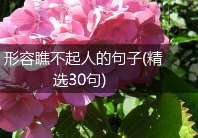 形容瞧不起人的句子(精选30句)