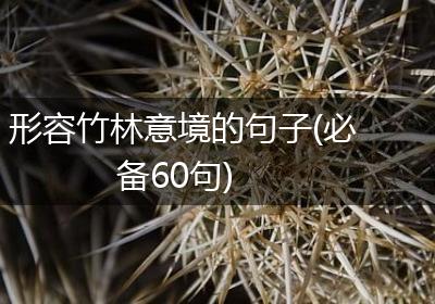 形容竹林意境的句子(必备60句)