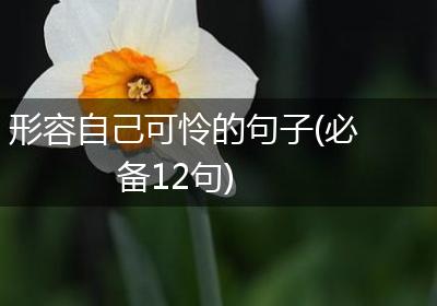 形容自己可怜的句子(必备12句)