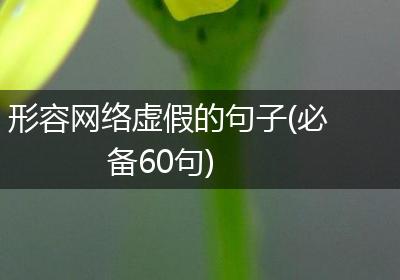 形容网络虚假的句子(必备60句)