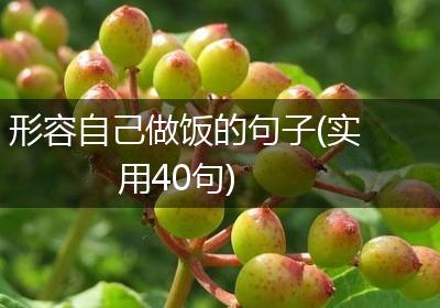 形容自己做饭的句子(实用40句)