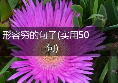 形容穷的句子(实用50句)