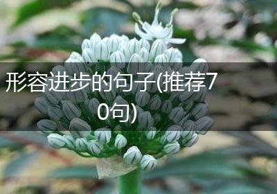 形容进步的句子(推荐70句)