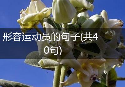 形容运动员的句子(共40句)