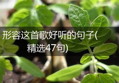 形容这首歌好听的句子(精选47句)