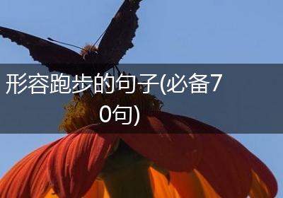 形容跑步的句子(必备70句)