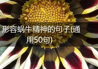形容蜗牛精神的句子(通用50句)