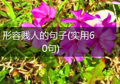 形容贱人的句子(实用60句)
