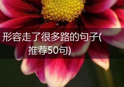 形容走了很多路的句子(推荐50句)