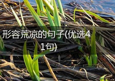 形容荒凉的句子(优选41句)