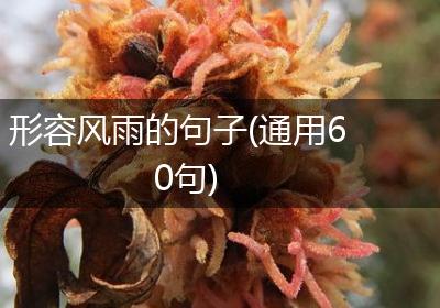 形容风雨的句子(通用60句)