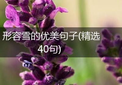 形容雪的优美句子(精选40句)