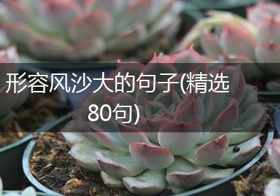 形容风沙大的句子(精选80句)