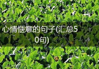 心情惬意的句子(汇总50句)