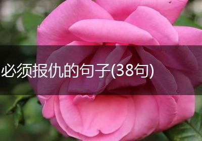 必须报仇的句子(38句)