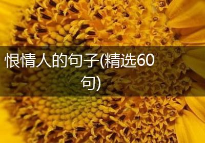 恨情人的句子(精选60句)