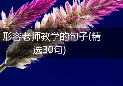 形容老师教学的句子(精选30句)