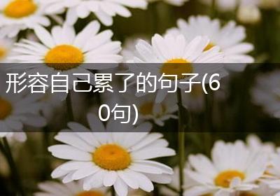 形容自己累了的句子(60句)