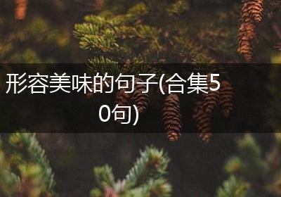 形容美味的句子(合集50句)