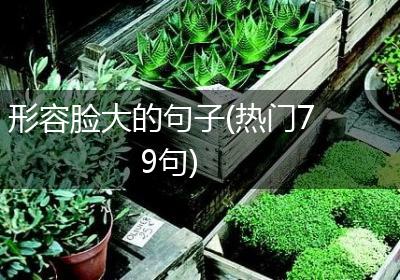 形容脸大的句子(热门79句)