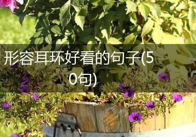 形容耳环好看的句子(50句)