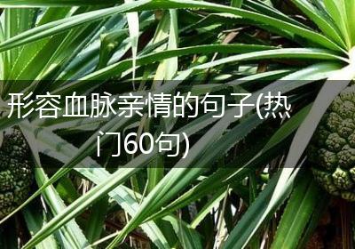 形容血脉亲情的句子(热门60句)